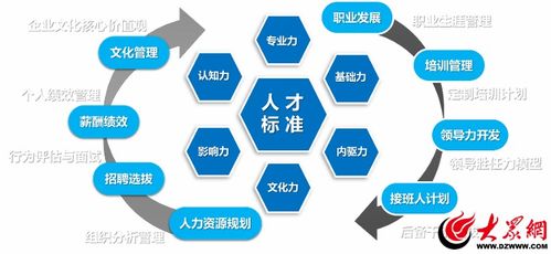 創新打造人力資源管理系統 促進行業整體效能提升——濰坊人力資源服務數字化轉型紀實（二）