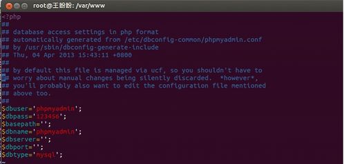 在Ubuntu 12.10上搭建基于Web管理的專屬DNS服務(wù)器與光污染治理提案